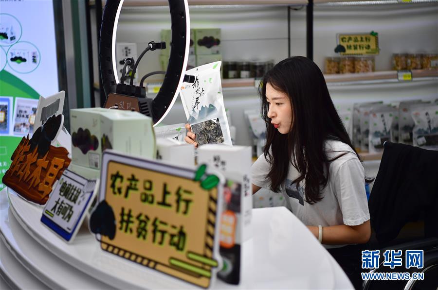 （走向我們的小康生活&middot;圖文互動(dòng)）（3）綠了青山，紅了日子&mdash;&mdash;秦巴山區(qū)群眾繪出小康&ldquo;調(diào)色板&rdquo;