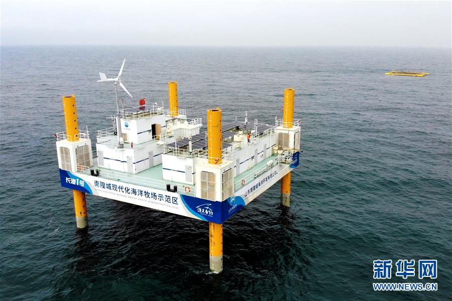 (圖文互動)(1)把“試驗田”種成“高產(chǎn)田”——記中國(山東)自由貿(mào)易試驗區(qū)設(shè)立一周年