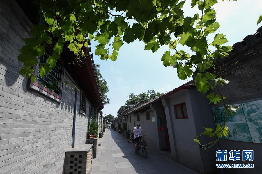 （走向我們的小康生活&middot;圖文互動(dòng)）（1）小橋、流水、書(shū)香、人家&mdash;&mdash;老北京胡同里的恬靜棲居