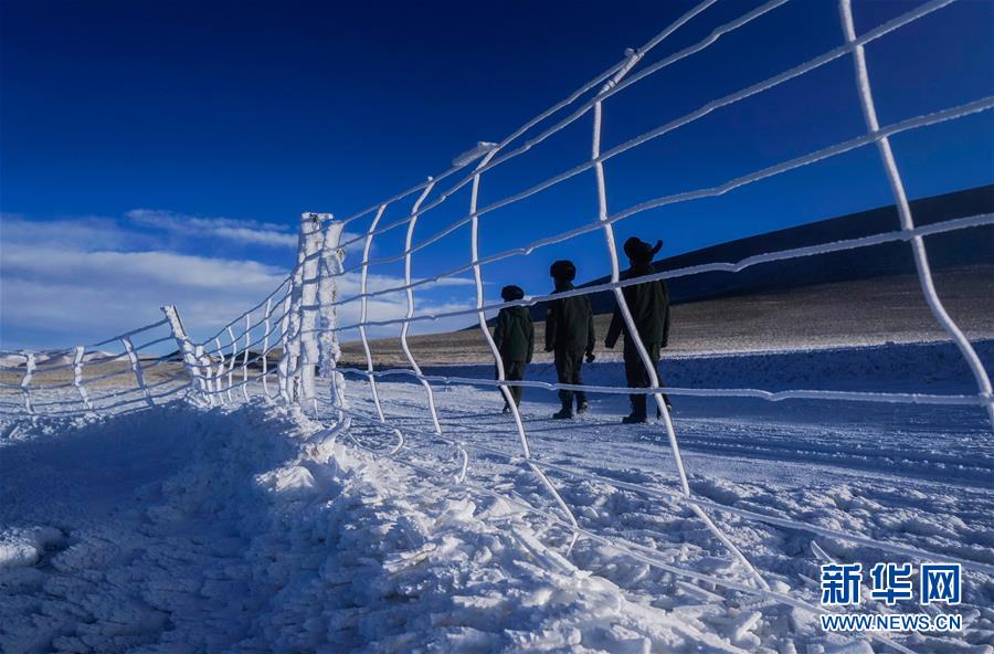 (新華全媒頭條·圖文互動)(7)闊步走在新時代康莊大道上——以習近平同志為核心的黨中央關心西藏工作紀實