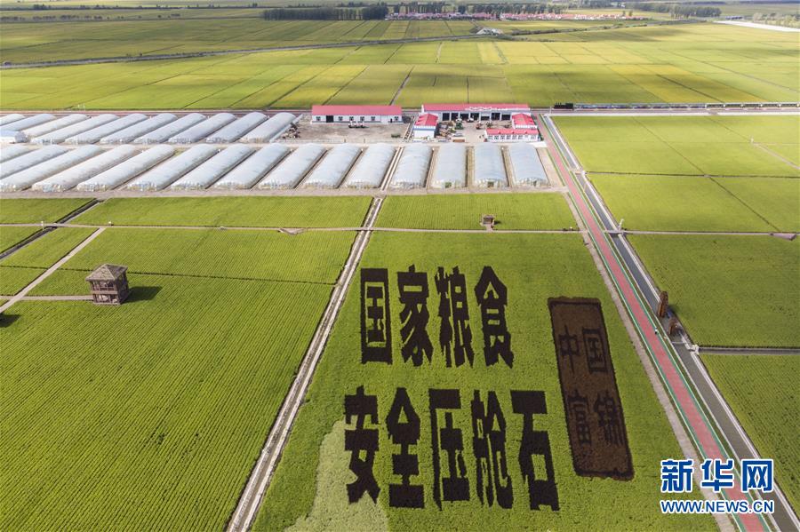 （決戰(zhàn)決勝脫貧攻堅(jiān)&middot;圖文互動(dòng)）（1）再戰(zhàn)&ldquo;北大倉(cāng)&rdquo;