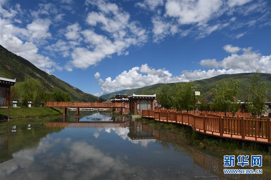 （鄉(xiāng)村振興&middot;圖文互動(dòng)）（1）村里來(lái)了位&ldquo;掏糞書記&rdquo;