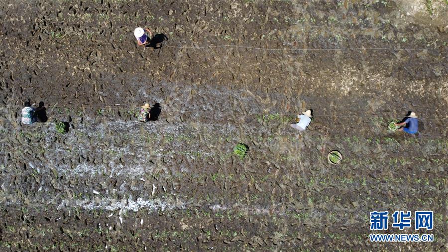 (在習(xí)近平新時(shí)代中國(guó)特色社會(huì)主義思想指引下——新時(shí)代新作為新篇章·習(xí)近平總書記關(guān)切事·圖文互動(dòng))(8)一切為了人民——寫在全國(guó)防汛救災(zāi)取得階段性重大勝利之時(shí)
