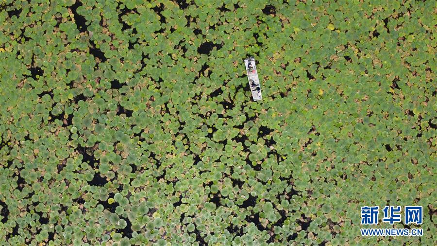 (在習(xí)近平新時(shí)代中國(guó)特色社會(huì)主義思想指引下——新時(shí)代新作為新篇章·習(xí)近平總書記關(guān)切事·圖文互動(dòng))(12)一切為了人民——寫在全國(guó)防汛救災(zāi)取得階段性重大勝利之時(shí)