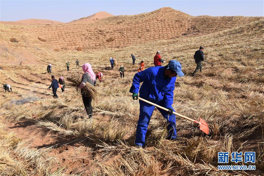 （新華全媒頭條&middot;走向我們的小康生活&middot;圖文互動）（6）&ldquo;苦甲&rdquo;不再，&ldquo;甘味&rdquo;綿長&mdash;&mdash;脫貧攻堅(jiān)的甘肅味道
