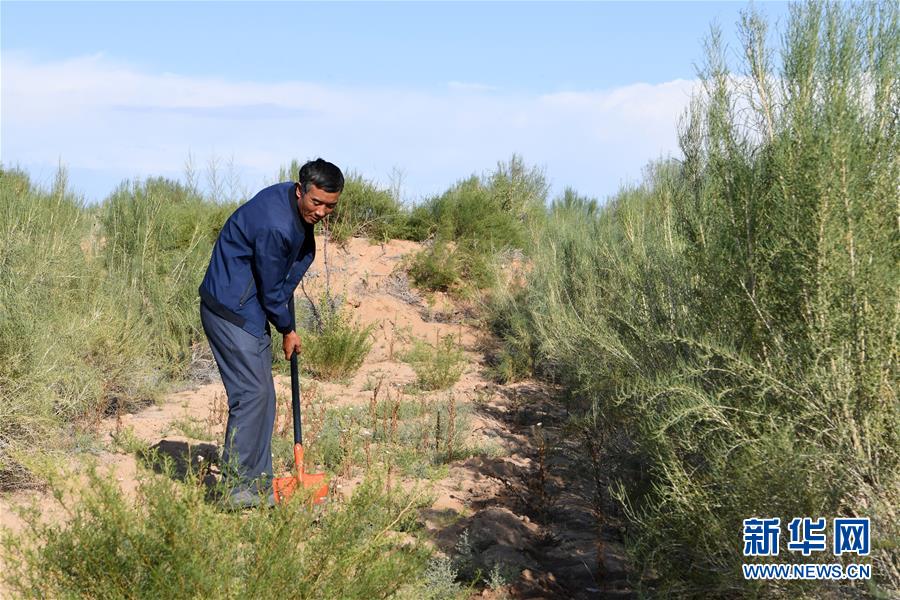 （新華全媒頭條&middot;走向我們的小康生活&middot;圖文互動）（8）&ldquo;苦甲&rdquo;不再，&ldquo;甘味&rdquo;綿長&mdash;&mdash;脫貧攻堅(jiān)的甘肅味道