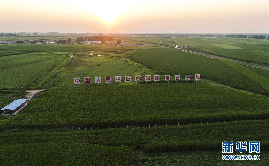 （新華全媒頭條&middot;圖文互動(dòng)）（6）為現(xiàn)代農(nóng)業(yè)探新路&mdash;&mdash;來自吉林梨樹的田野報(bào)告