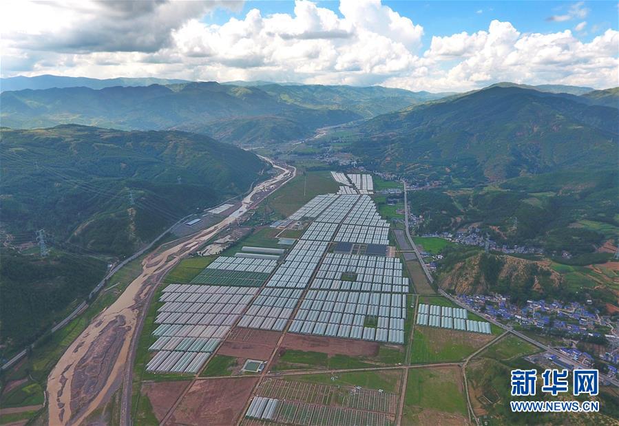 (新華全媒頭條·決戰(zhàn)決勝脫貧攻堅(jiān)·督戰(zhàn)未摘帽貧困縣·圖文互動(dòng))(10)苦蕎花開大涼山——四川7個(gè)未摘帽縣脫貧攻堅(jiān)一線觀察