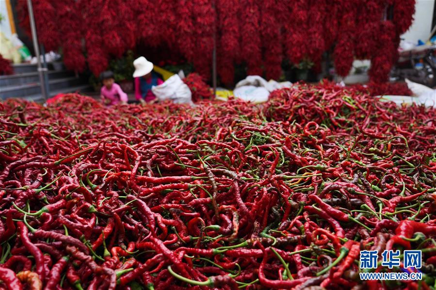 （走向我們的小康生活&middot;決戰(zhàn)決勝脫貧攻堅(jiān)&middot;圖文互動）（7）甘青交界處的跨越&mdash;&mdash;保安族、撒拉族的脫貧故事 