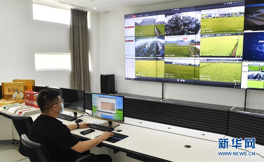 （新華全媒頭條&middot;走向我們的小康生活&middot;圖文互動）（4）黑土地上是我家&mdash;&mdash;在吉林，一瞥中國東北鄉(xiāng)村美麗未來