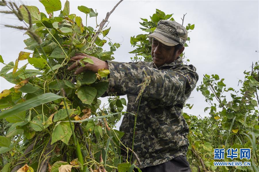 (決戰(zhàn)決勝脫貧攻堅·圖文互動)(3)團結村的李輝新傳
