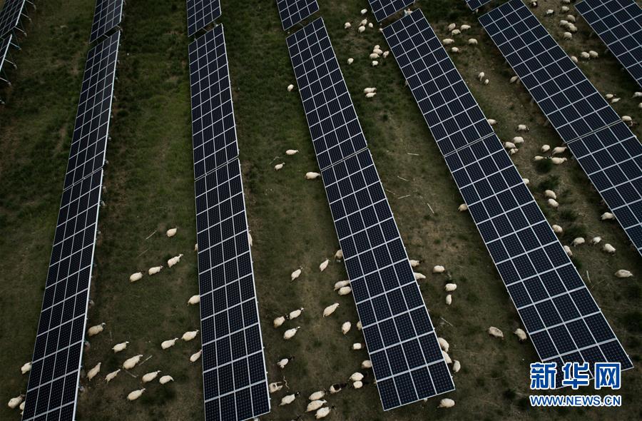 (新華全媒頭條·走向我們的小康生活·決戰(zhàn)決勝脫貧攻堅(jiān)·圖文互動(dòng))(3)高原上綻放的光芒——來自青海攻克深度貧困堡壘的故事