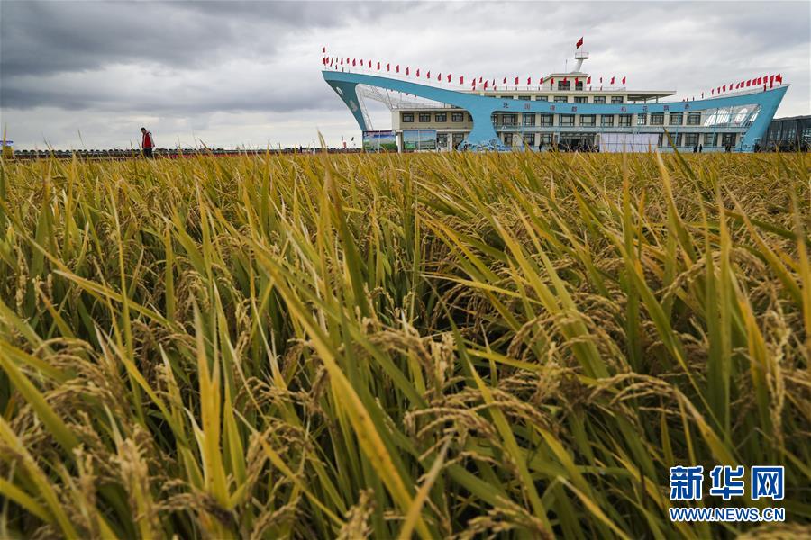（新華全媒頭條&middot;圖文互動(dòng)）（1）天道酬勤的大地贊歌&mdash;&mdash;寫在第三個(gè)中國(guó)農(nóng)民豐收節(jié)之際