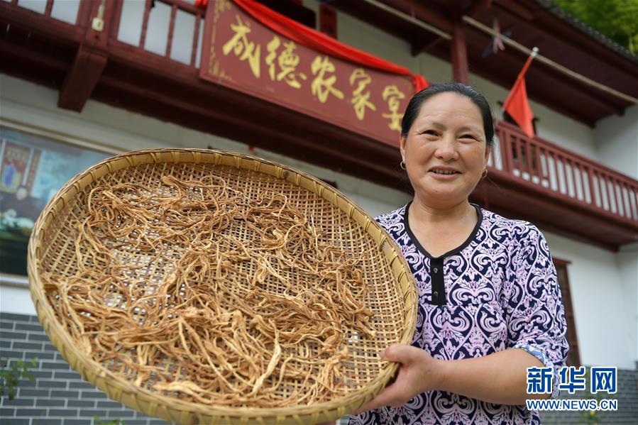 （新華全媒頭條&middot;走向我們的小康生活&middot;圖文互動(dòng)）（4）神山村&ldquo;神奇&rdquo;何在？&mdash;&mdash;井岡山深處覓答案