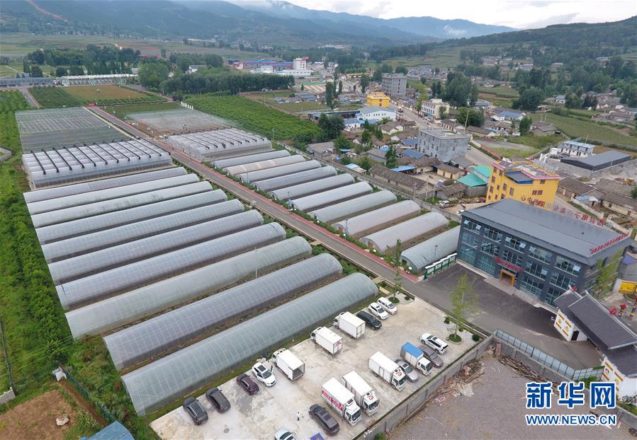 （走向我們的小康生活&middot;決戰(zhàn)決勝脫貧攻堅(jiān)&middot;圖文互動(dòng)）（1）把產(chǎn)業(yè)興盛之&ldquo;根&rdquo;扎進(jìn)大涼山