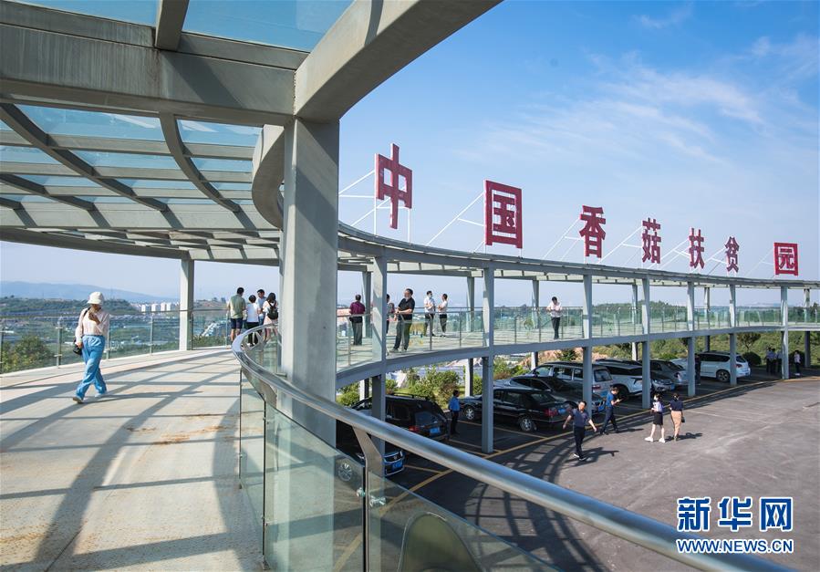 （新華全媒頭條&middot;走向我們的小康生活&middot;圖文互動）（2）特殊之年，荊楚大地書寫不平凡的答卷