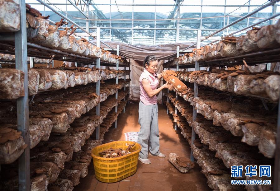 （新華全媒頭條&middot;走向我們的小康生活&middot;圖文互動）（3）特殊之年，荊楚大地書寫不平凡的答卷