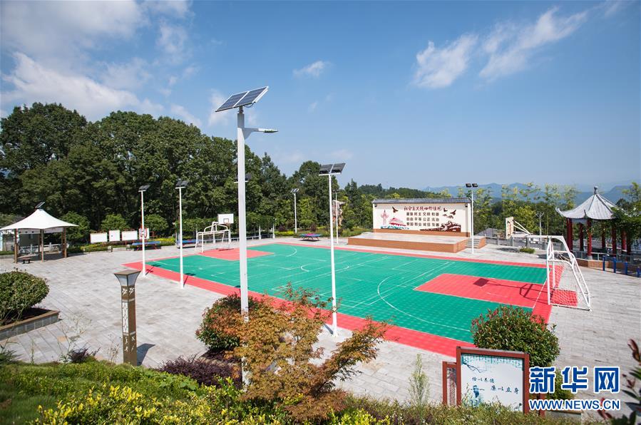 （新華全媒頭條&middot;走向我們的小康生活&middot;圖文互動）（6）特殊之年，荊楚大地書寫不平凡的答卷