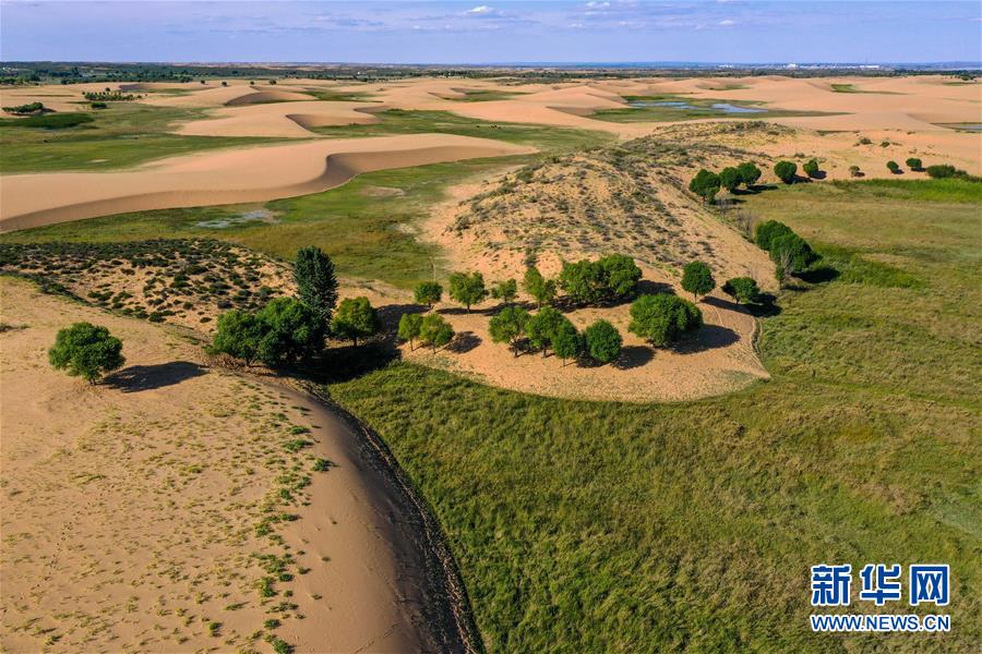 （在習(xí)近平新時(shí)代中國特色社會(huì)主義思想指引下&mdash;&mdash;新時(shí)代新作為新篇章&middot;習(xí)近平總書記關(guān)切事&middot;圖文互動(dòng)）（10）綠意，在黃沙中鋪展&mdash;&mdash;我國防沙治沙紀(jì)實(shí)