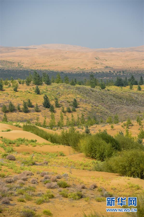 （在習(xí)近平新時(shí)代中國特色社會(huì)主義思想指引下&mdash;&mdash;新時(shí)代新作為新篇章&middot;習(xí)近平總書記關(guān)切事&middot;圖文互動(dòng)）（6）綠意，在黃沙中鋪展&mdash;&mdash;我國防沙治沙紀(jì)實(shí)