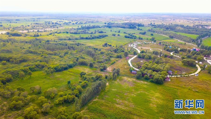 （在習(xí)近平新時(shí)代中國特色社會(huì)主義思想指引下&mdash;&mdash;新時(shí)代新作為新篇章&middot;習(xí)近平總書記關(guān)切事&middot;圖文互動(dòng)）（1）綠意，在黃沙中鋪展&mdash;&mdash;我國防沙治沙紀(jì)實(shí)