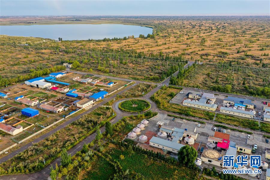 （在習(xí)近平新時(shí)代中國特色社會(huì)主義思想指引下&mdash;&mdash;新時(shí)代新作為新篇章&middot;習(xí)近平總書記關(guān)切事&middot;圖文互動(dòng)）（12）綠意，在黃沙中鋪展&mdash;&mdash;我國防沙治沙紀(jì)實(shí)