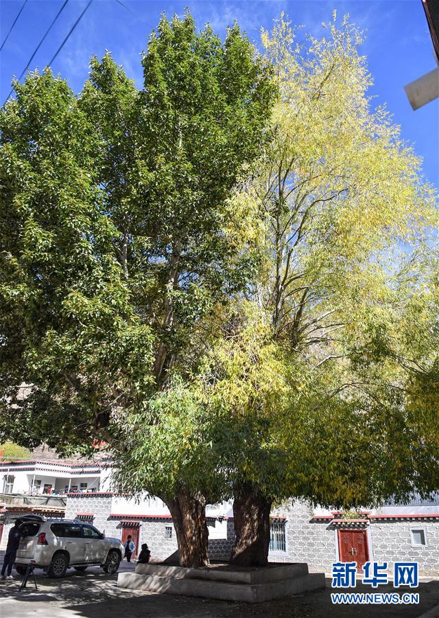 （圖文互動）（2）歷史遺跡的述說&mdash;&mdash;西藏昌都源遠(yuǎn)流長的民族團結(jié)故事