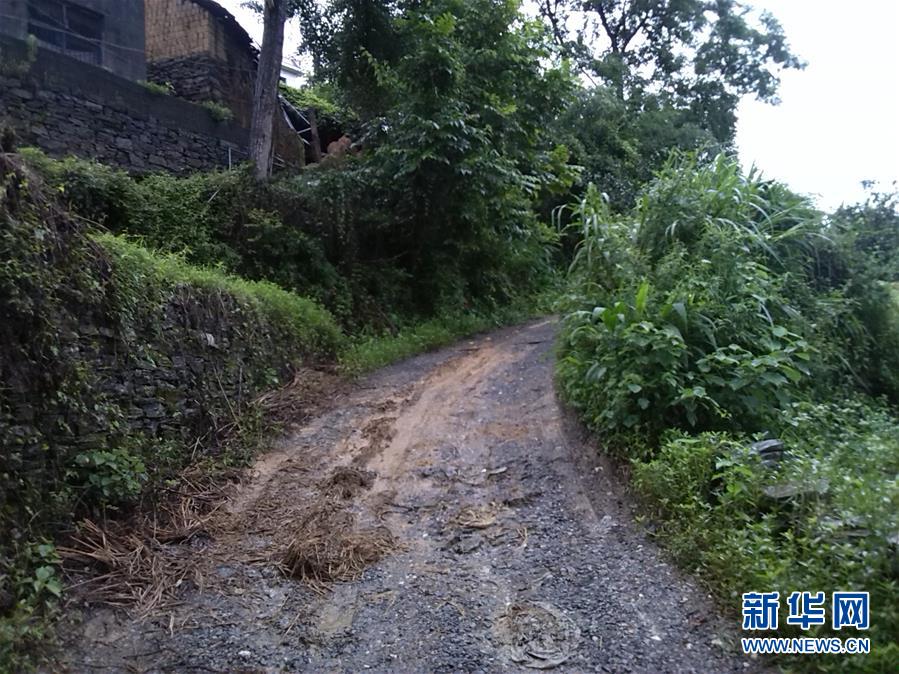 （集中連片特困地區(qū)貧困村調(diào)研行&middot;圖文互動）（3）百果園里幸福長&mdash;&mdash;湖南鳳凰縣菖蒲塘村脫貧調(diào)查