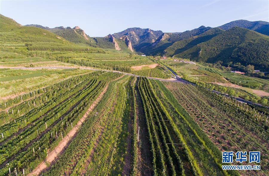 （集中連片特困地區(qū)貧困村調(diào)研行&middot;圖文互動）（1）又整新鞍馬蹄輕&mdash;&mdash;內(nèi)蒙古喀喇沁旗馬鞍山村脫貧調(diào)查