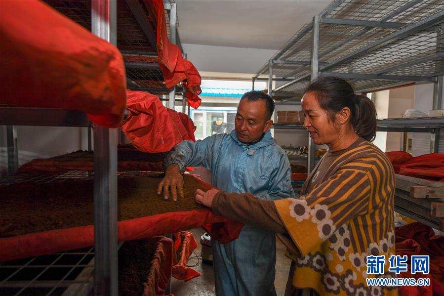 （決戰(zhàn)決勝脫貧攻堅(jiān)&middot;圖文互動(dòng)）（5）從&ldquo;因殘致貧&rdquo;到&ldquo;帶頭脫貧&rdquo;&mdash;&mdash;吉林靖宇有這樣一位&ldquo;脫貧英雄&rdquo;