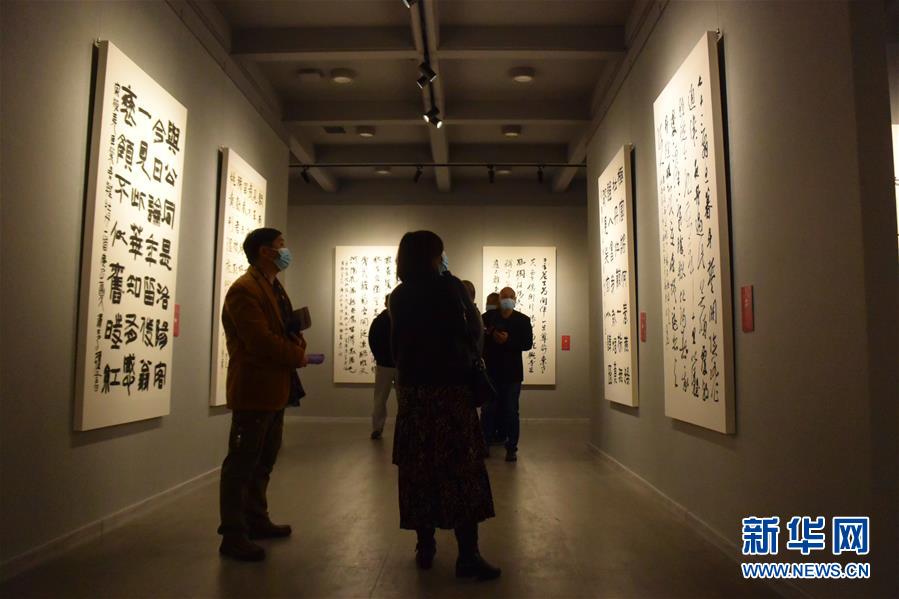 （新華網(wǎng)&middot;圖文互動(dòng)）（3）&ldquo;黃河明珠&mdash;&mdash;龍門石窟國(guó)際書法名家邀請(qǐng)展&rdquo;開展