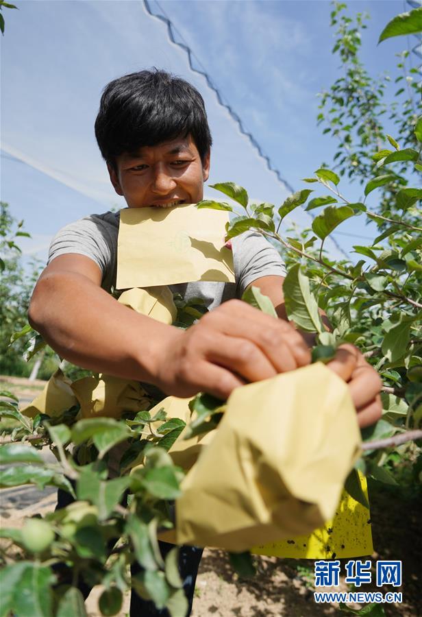 （習(xí)近平的小康故事&middot;圖文互動）（2）&ldquo;我很期盼的一件事，就是讓鄉(xiāng)親們飽餐一頓肉&rdquo;&mdash;&mdash;習(xí)近平和脫貧攻堅的故事