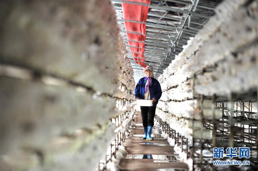 （習(xí)近平的小康故事&middot;圖文互動）（6）&ldquo;我很期盼的一件事，就是讓鄉(xiāng)親們飽餐一頓肉&rdquo;&mdash;&mdash;習(xí)近平和脫貧攻堅的故事