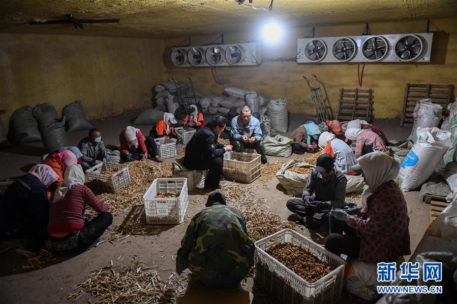 （習(xí)近平的小康故事&middot;圖文互動）（8）&ldquo;我很期盼的一件事，就是讓鄉(xiāng)親們飽餐一頓肉&rdquo;&mdash;&mdash;習(xí)近平和脫貧攻堅的故事