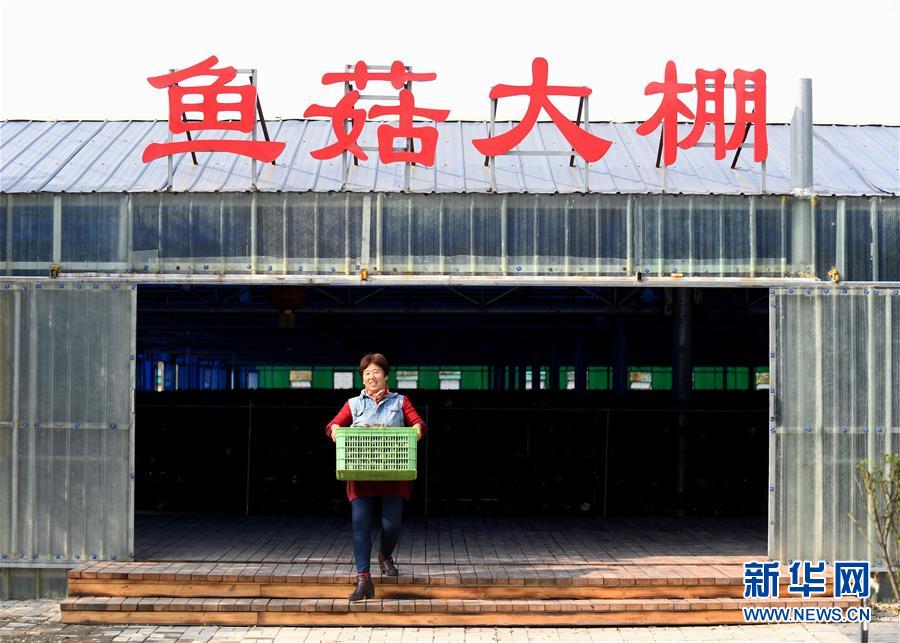 (決戰(zhàn)決勝脫貧攻堅(jiān)·圖文互動(dòng))(5)17代人追逐的夢(mèng)想實(shí)現(xiàn)了——記冀南平原劉秋口村變遷