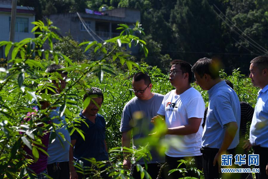 （決戰(zhàn)決勝脫貧攻堅(jiān)&middot;圖文互動(dòng)）（3）&ldquo;堵槍眼&rdquo;的脫貧戰(zhàn)怎么打？&mdash;&mdash;繼光村見(jiàn)聞