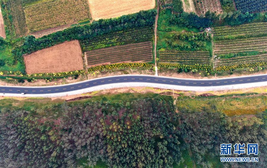 (新華全媒頭條·圖文互動(dòng))(4)從“四亂”突出到生態(tài)修復(fù) 黃河漸成中原“綠飄帶”