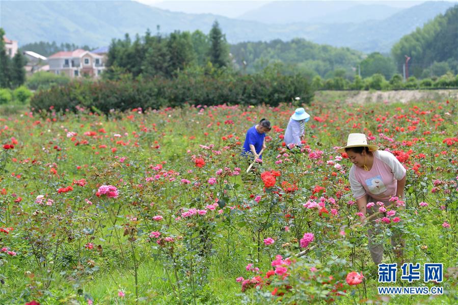 (新華全媒頭條·圖文互動)(1)幕阜山“搬窮”記