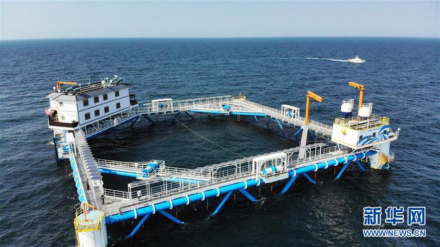 (新華全媒頭條·圖文互動(dòng))(1)“拔”海起牧場 “耕”海新牧歌