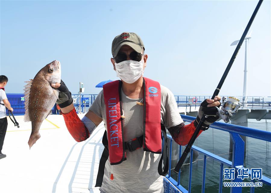 (新華全媒頭條·圖文互動(dòng))(4)“拔”海起牧場 “耕”海新牧歌