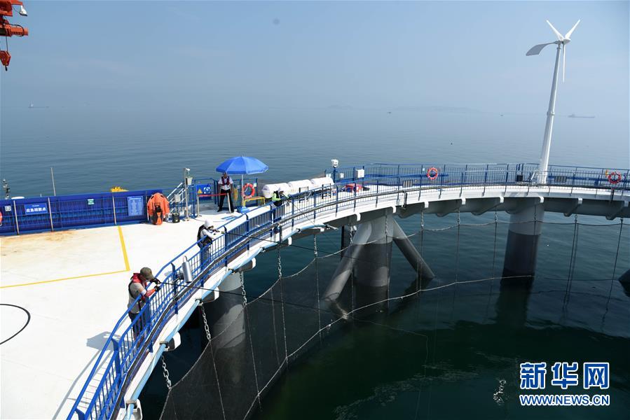 (新華全媒頭條·圖文互動(dòng))(5)“拔”海起牧場 “耕”海新牧歌
