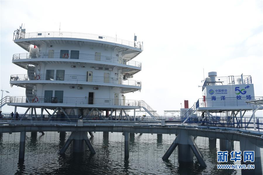 (新華全媒頭條·圖文互動(dòng))(6)“拔”海起牧場 “耕”海新牧歌