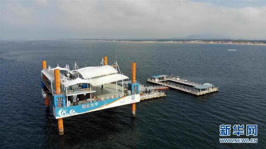 (新華全媒頭條·圖文互動(dòng))(7)“拔”海起牧場 “耕”海新牧歌