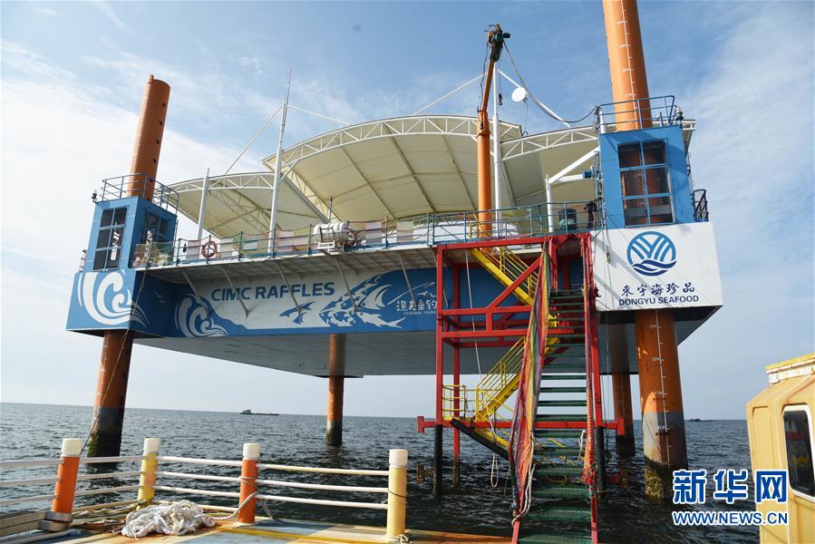 (新華全媒頭條·圖文互動(dòng))(9)“拔”海起牧場 “耕”海新牧歌