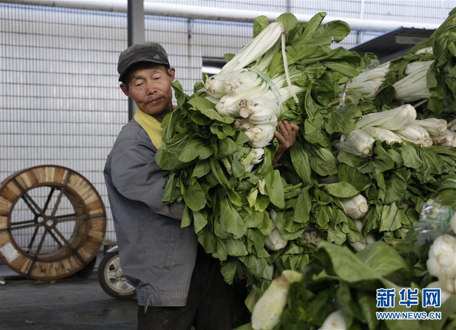 (全面建成小康社會“百城千縣萬村調研行”·圖文互動)(3)安徽當涂:強產業(yè)抓主體促增收