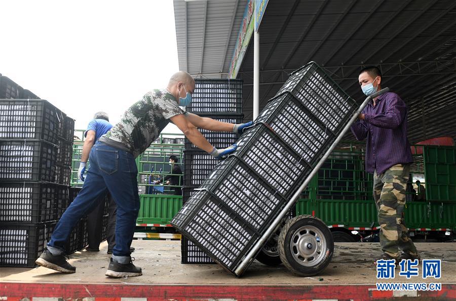 (新華全媒頭條·圖文互動(dòng))(10)暢通雙循環(huán) 共享大市場——從東博會(huì)看中國新發(fā)展格局