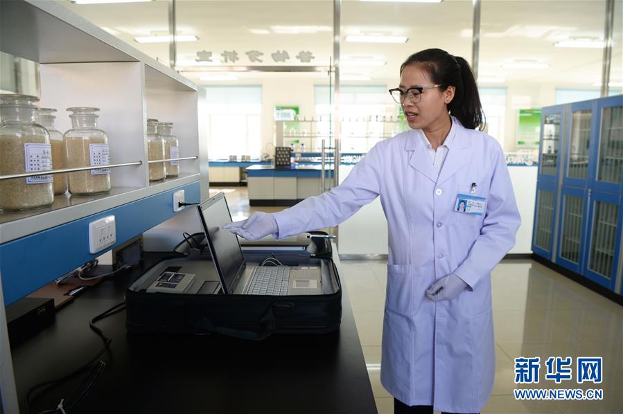 （新華全媒頭條&middot;圖文互動）（6）奮力書寫東北振興的時代新篇&mdash;&mdash;習(xí)近平總書記調(diào)研東北三省并主持召開深入推進(jìn)東北振興座談會紀(jì)實