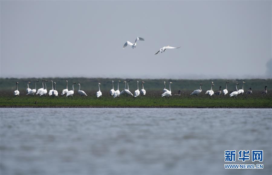 (新華全媒頭條·圖文互動)(11)潮起東方萬象新——以習(xí)近平同志為核心的黨中央團(tuán)結(jié)帶領(lǐng)全黨全軍全國各族人民貫徹落實黨的十九大精神紀(jì)實