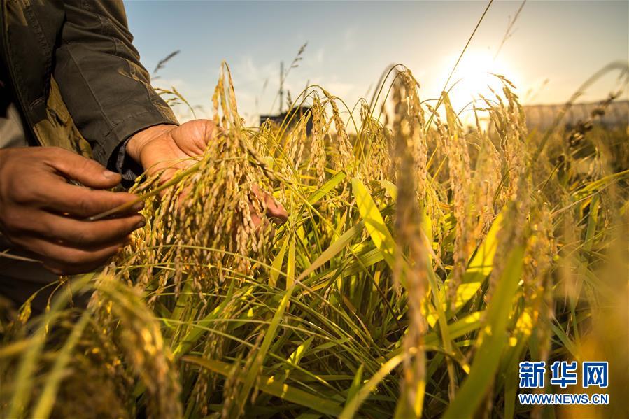 （新華全媒頭條&middot;圖文互動）（5）上下同心再出發(fā)&mdash;&mdash;習(xí)近平總書記同出席2019年全國兩會人大代表、政協(xié)委員共商國是紀(jì)實(shí)