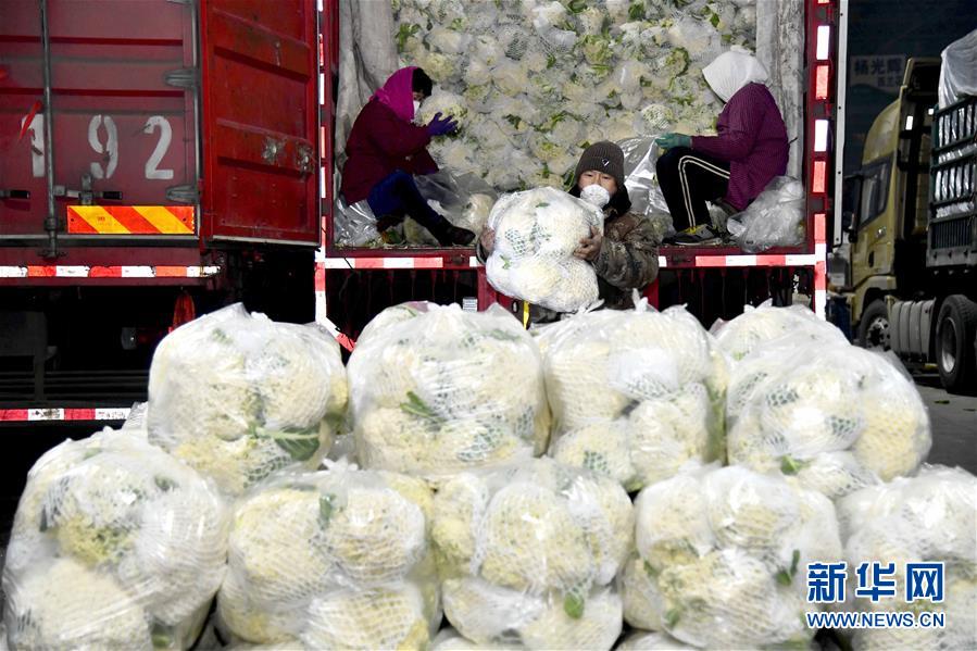 (在習(xí)近平新時代中國特色社會主義思想指引下——新時代新作為新篇章·習(xí)近平總書記關(guān)切事·圖文互動)(5)“菜籃子”里的力量——全國各地努力做好保障和改善民生工作在行動